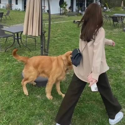 第二模式